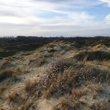 Des Vagues De Dunes Дом отдыха